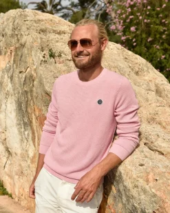 Truien En Sweaters*Gaastra 100% Katoenen Boyd Trui
