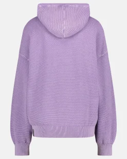 Truien En Sweaters*Gaastra Katoenen Sweater Keira Met Capuchon