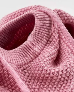 Truien En Sweaters*Gaastra Katoenen Sweater Keira Met Capuchon
