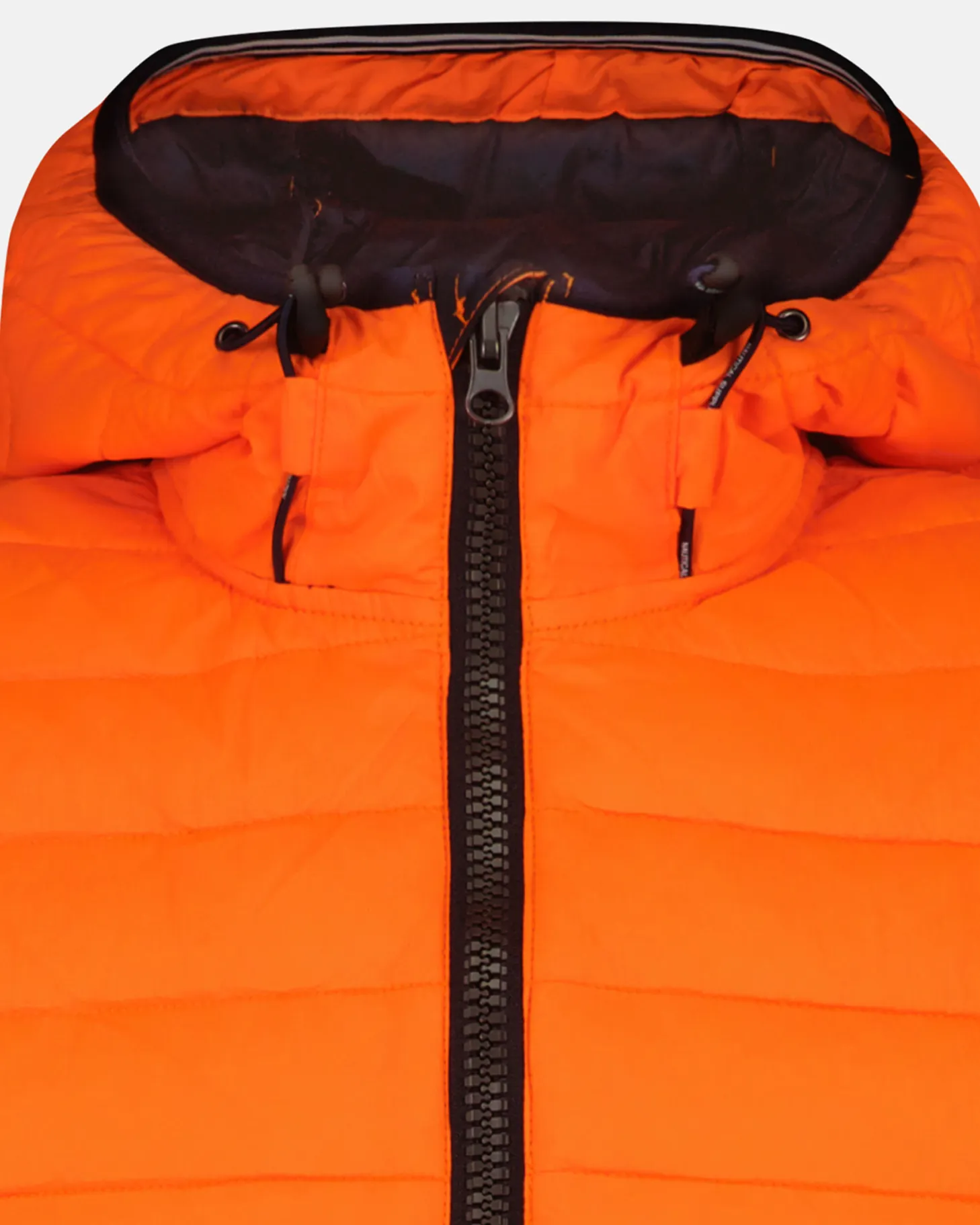 Jassen*Gaastra Lichtgewicht Puffer Jacket Nautilus